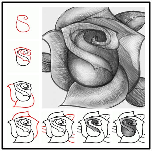 How to Draw a Rose from a Heart 1