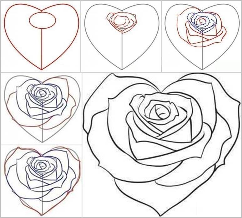 How to Draw a Rose from a Heart | iCreativeIdeas.com