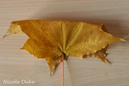 Creative Ideas – DIY Beautiful Maple Leaf Rose 1