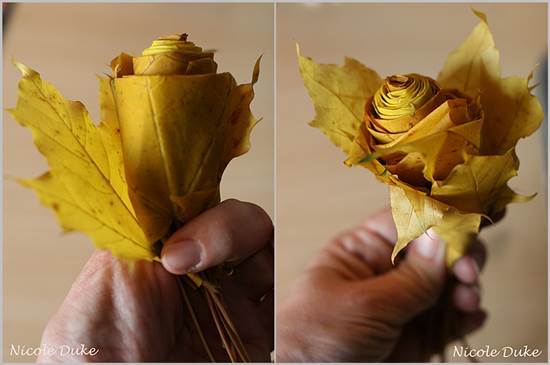Creative Ideas – DIY Beautiful Maple Leaf Rose 5