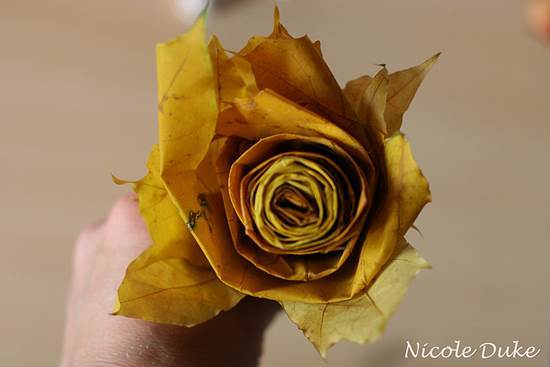 Creative Ideas – DIY Beautiful Maple Leaf Rose 7