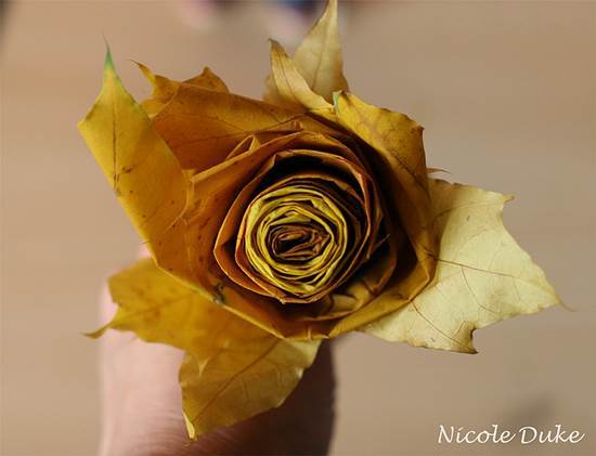 Creative Ideas – DIY Beautiful Maple Leaf Rose 8