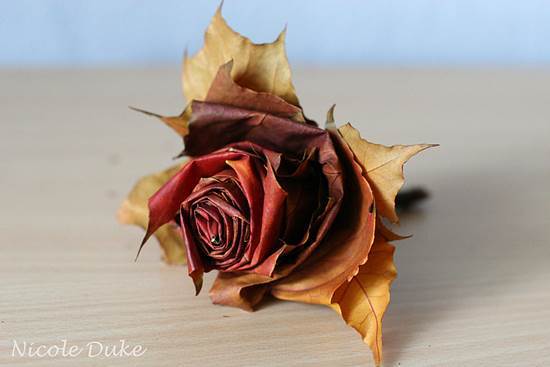Creative Ideas – DIY Beautiful Maple Leaf Rose 9
