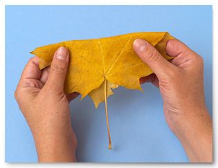 Creative Ideas – DIY Pretty Maple Leaf Rose 2