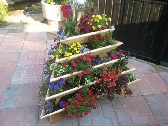 Creative Idea of Home Gardening - Triolife Plant Pyramid