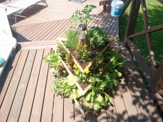 Creative Idea of Home Gardening - Triolife Plant Pyramid