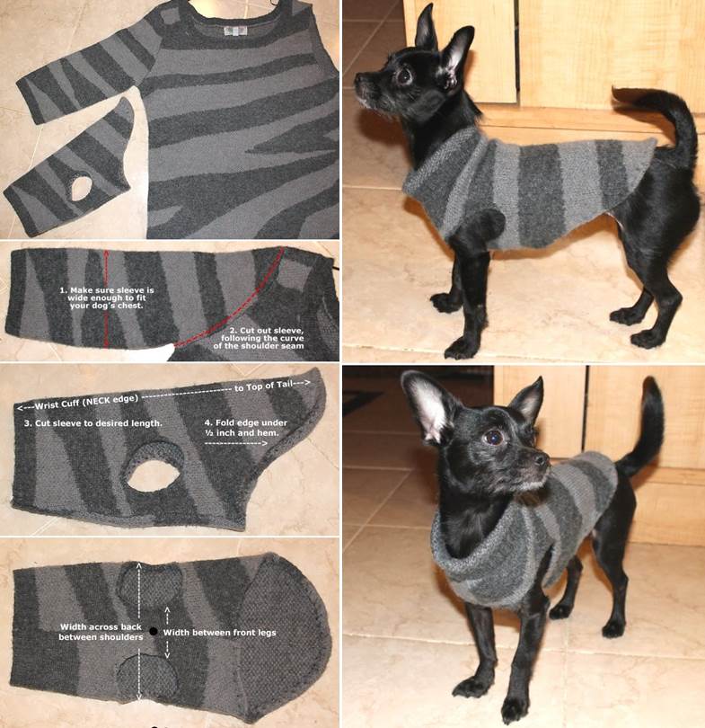 Creative Ideas - DIY Dog Sweater from Old Sweater Sleeve