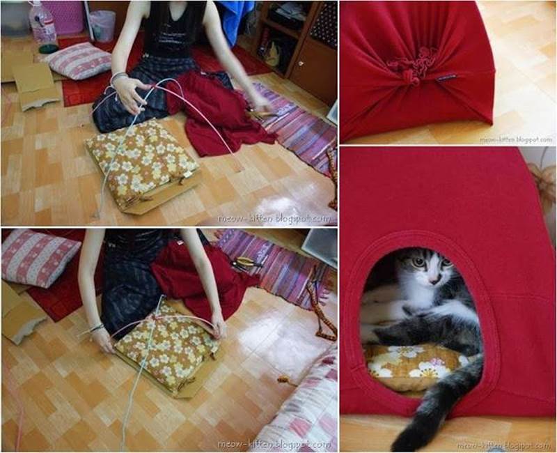Creative Ideas - DIY Easy Cat Tent from Old T-shirts