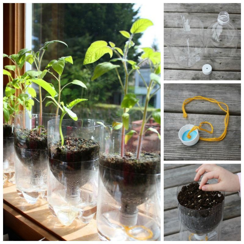 Creative Ideas - DIY Self-Watering Seed Starter Pots from Plastic Bottles