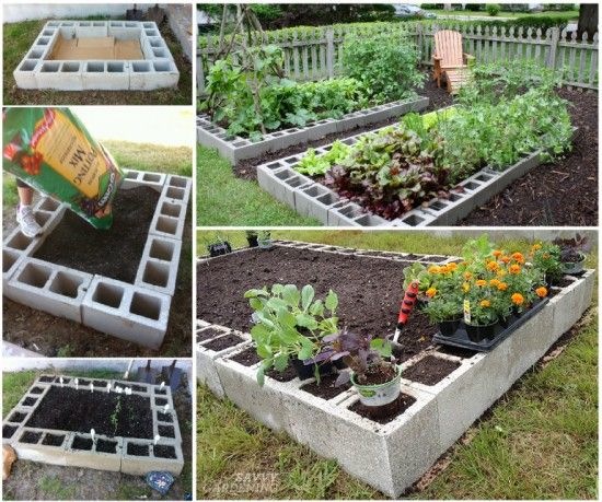 20+ Creative Uses of Concrete Blocks in Your Home and Garden --> Cinder Block Raised Garden Bed
