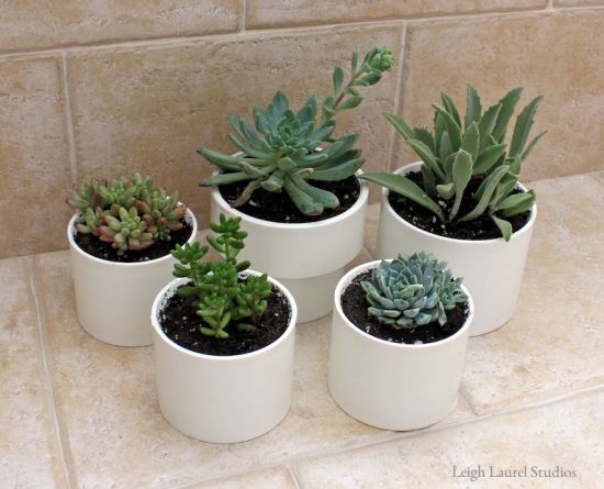 30+ Creative Uses of PVC Pipes in Your Home and Garden --> PVC Succulent Planters