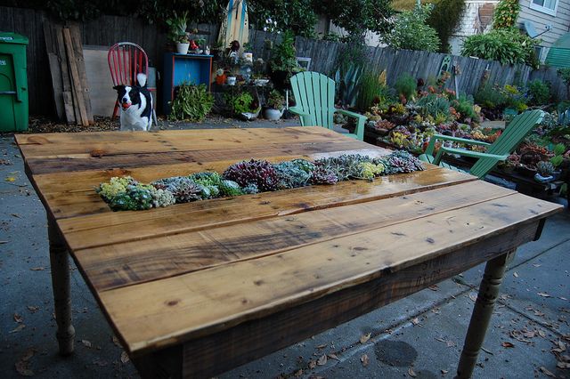 30+ Creative Pallet Furniture DIY Ideas and Projects --> DIY Succulent Pallet Table