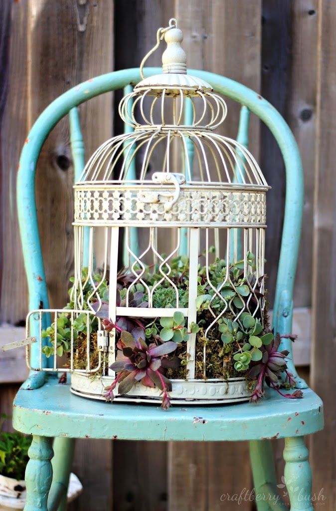 40+ Creative DIY Garden Containers and Planters from Recycled Materials --> Bird Cage Planter