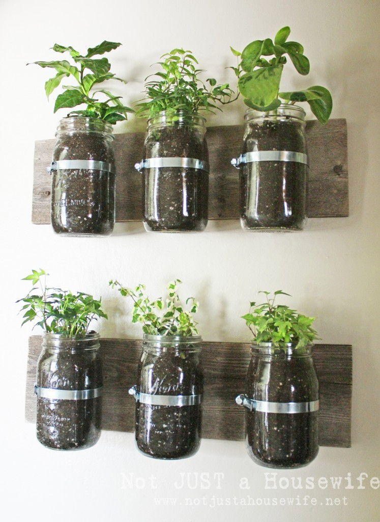 40+ Creative DIY Garden Containers and Planters from Recycled Materials --> DIY Mason Jar Wall Planter