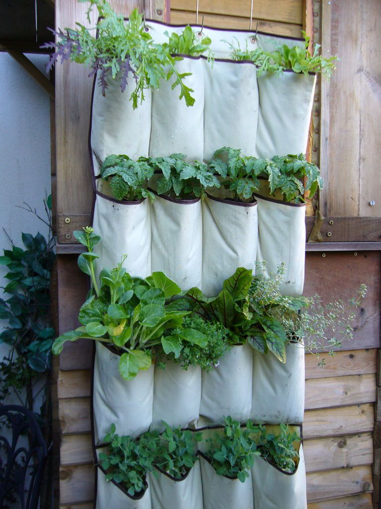 40+ Creative DIY Garden Containers and Planters from Recycled Materials --> Upcycled Shoe Organizer Planter