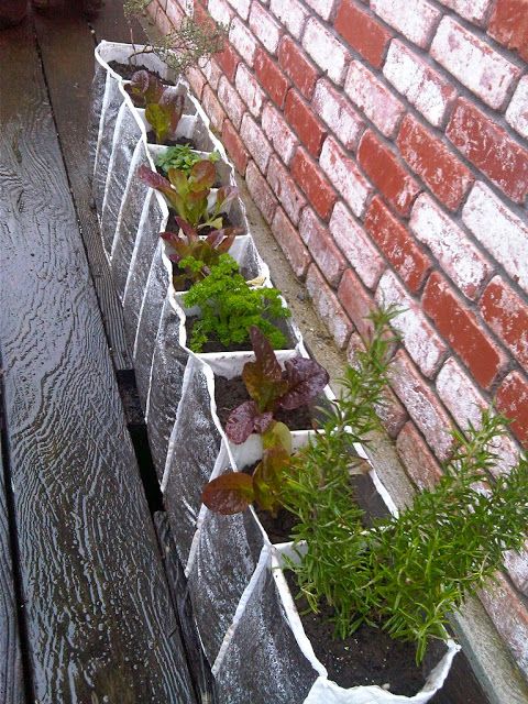 40+ Creative DIY Garden Containers and Planters from Recycled Materials --> Upcycled Shoe Organizer Planter