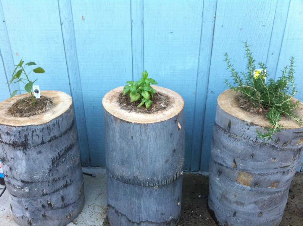 40+ Creative DIY Garden Containers and Planters from Recycled Materials --> Tree Stump Planters