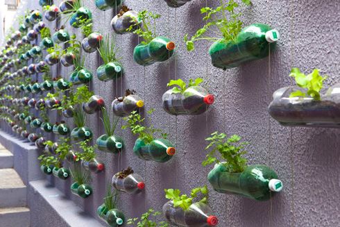 40+ Creative DIY Garden Containers and Planters from Recycled Materials --> Build a Vertical Garden From Recycled Soda Bottles