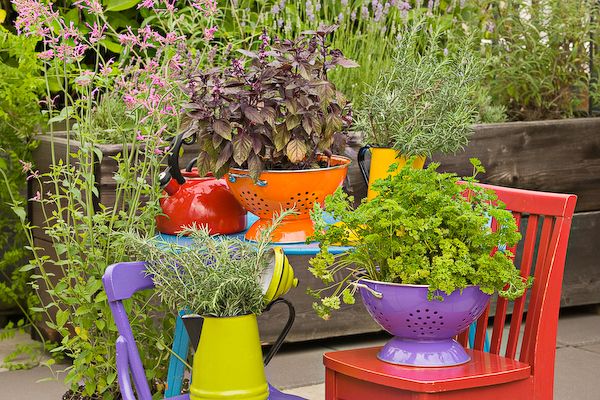 40+ Creative DIY Garden Containers and Planters from Recycled Materials --> Colander Planters