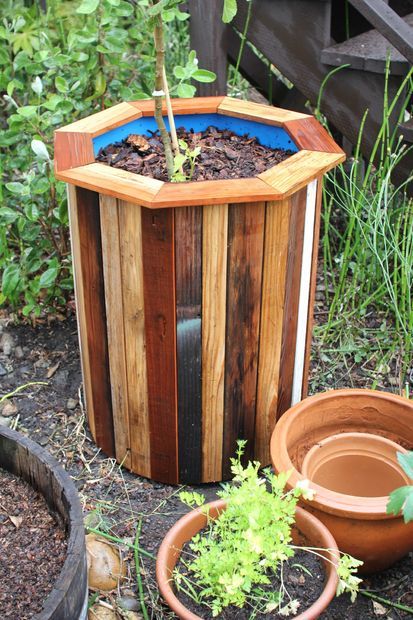 40+ Creative DIY Garden Containers and Planters from Recycled Materials --> DIY 55-Gallon Plastic Barrel Planter