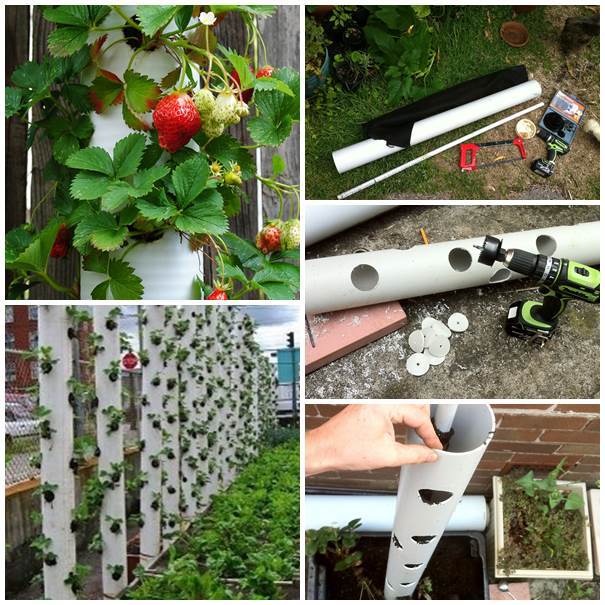 40+ Creative DIY Garden Containers and Planters from Recycled Materials --> DIY Strawberry Tower from PVC Pipe