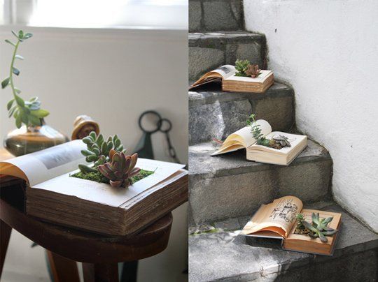 40+ Creative DIY Garden Containers and Planters from Recycled Materials --> DIY Vintage Book Succulent Planters