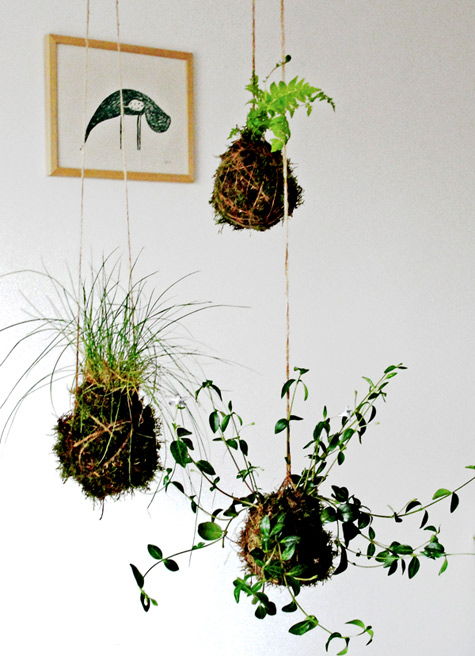20+ Creative DIY Vertical Gardens For Your Home --> DIY Suspended String Garden