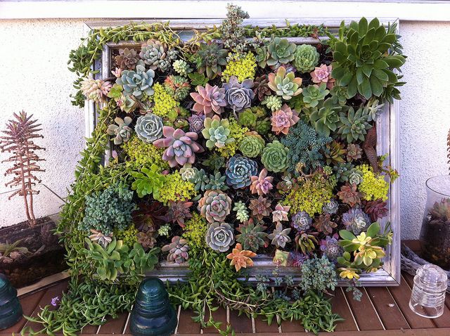 20+ Creative DIY Vertical Gardens For Your Home --> DIY Framed Vertical Succulent Garden