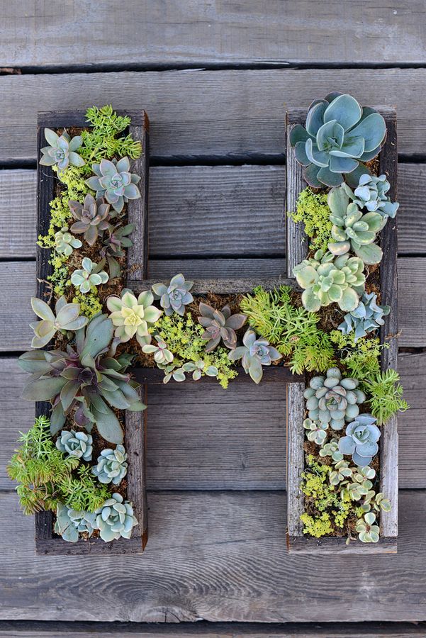 20+ Creative DIY Vertical Gardens For Your Home --> DIY Wall-Mounted Succulent Letter