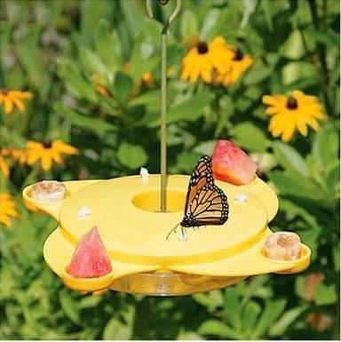 Creative Ideas - DIY Amazing Butterfly Feeder 2