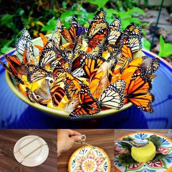 Creative Ideas - DIY Amazing Butterfly Feeder