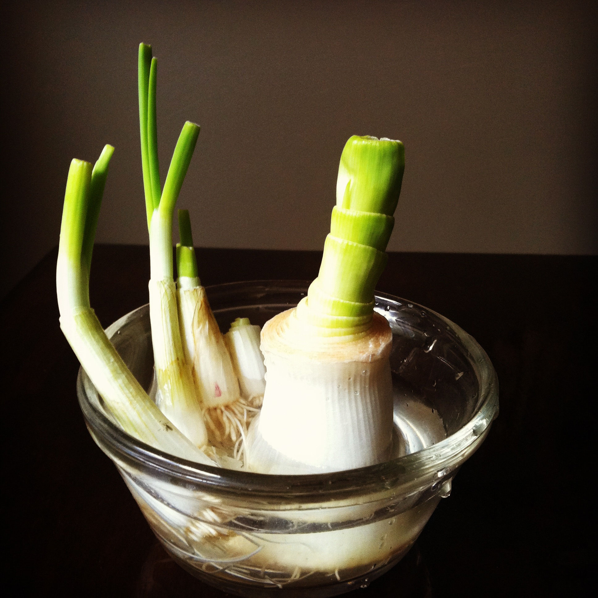 13 Vegetables That You Can Regrow Again And Again --> Leeks