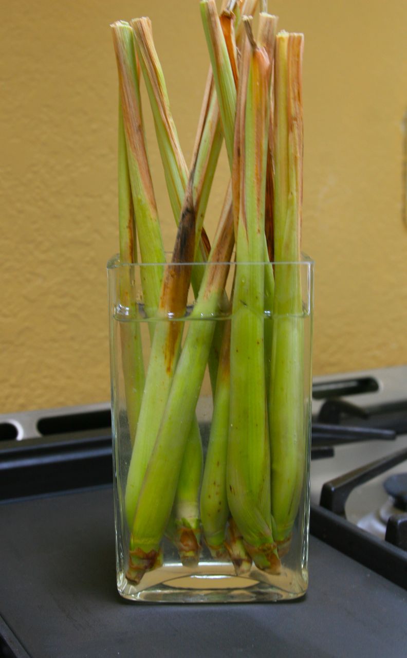 13 Vegetables That You Can Regrow Again And Again --> Lemongrass