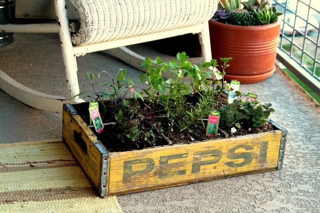 35+ Creative DIY Herb Garden Ideas --> DIY Herb Garden In An Old Crate