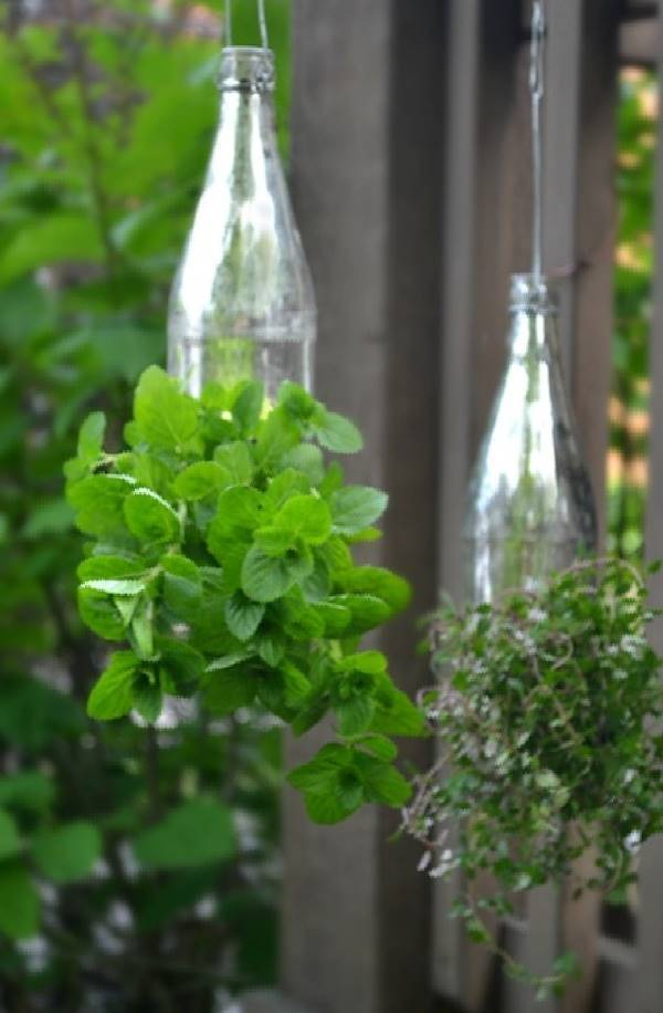 35+ Creative DIY Herb Garden Ideas --> DIY Glass Bottle Hanging Herb Garden
