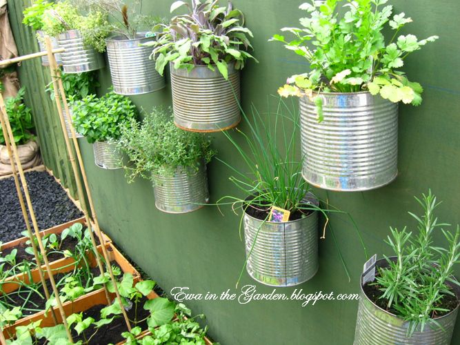 35+ Creative DIY Herb Garden Ideas --> DIY Herb Garden On The Wall