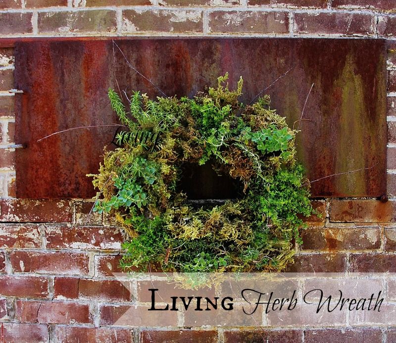 35+ Creative DIY Herb Garden Ideas --> DIY Living Herb Wreath
