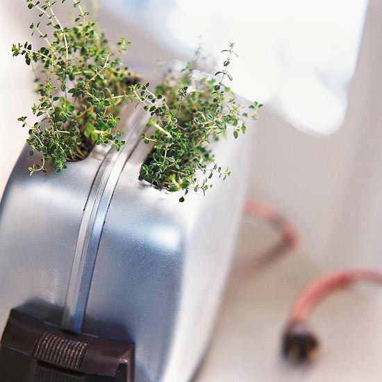 35+ Creative DIY Herb Garden Ideas --> Toaster Herb Garden