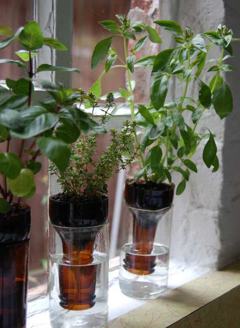 35+ Creative DIY Herb Garden Ideas --> DIY Windowsill Herb Garden