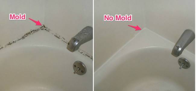 DIY How to Get Rid of Mold from Shower and Bathtub
