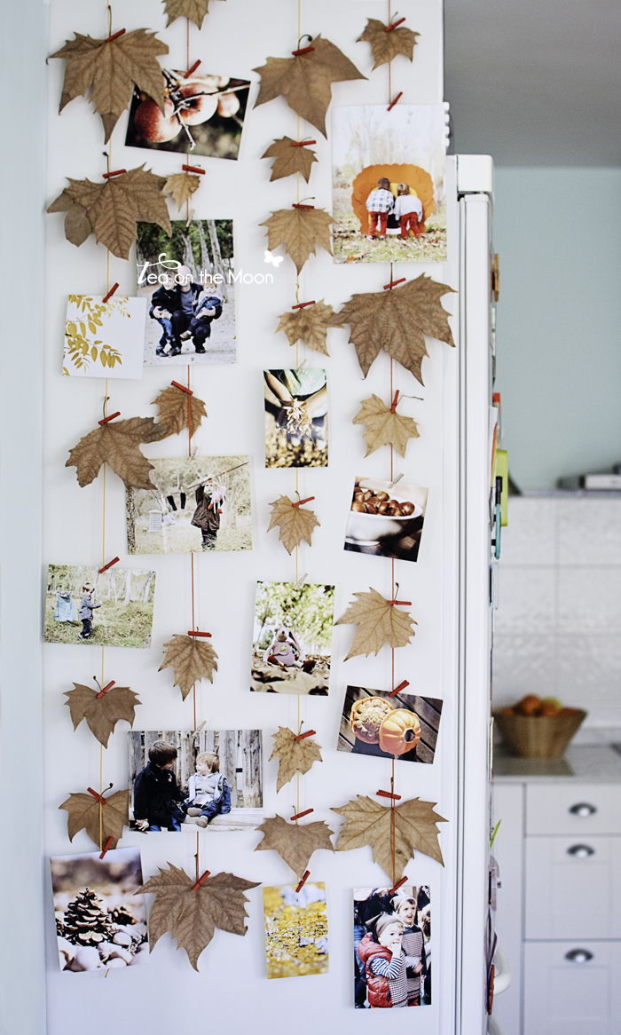 40+ Creative DIY Craft Projects with Fall Leaves --> Autumn Leaf Photo Wall
