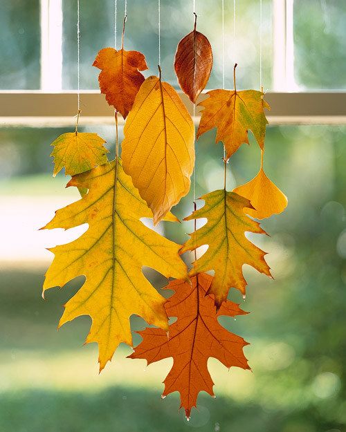 40+ Creative DIY Craft Projects with Fall Leaves --> Hanging Leaves