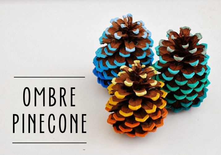 40+ Creative Pinecone Crafts for Your Holiday Decorations --> DIY Ombre Pinecones