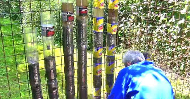 Creative Ideas - How To Turn Soda Bottles Into Sustainable Tower Garden