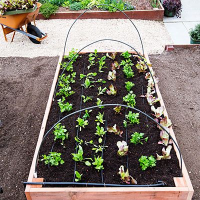 30+ Creative DIY Raised Garden Bed Ideas And Projects --> The perfect raised bed