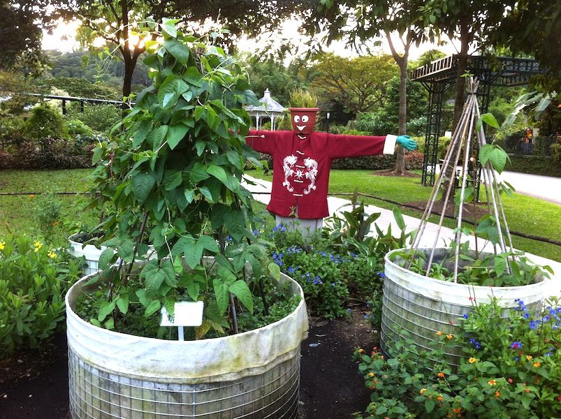 30+ Creative DIY Raised Garden Bed Ideas And Projects --> Build a raised garden bed for the Tropics
