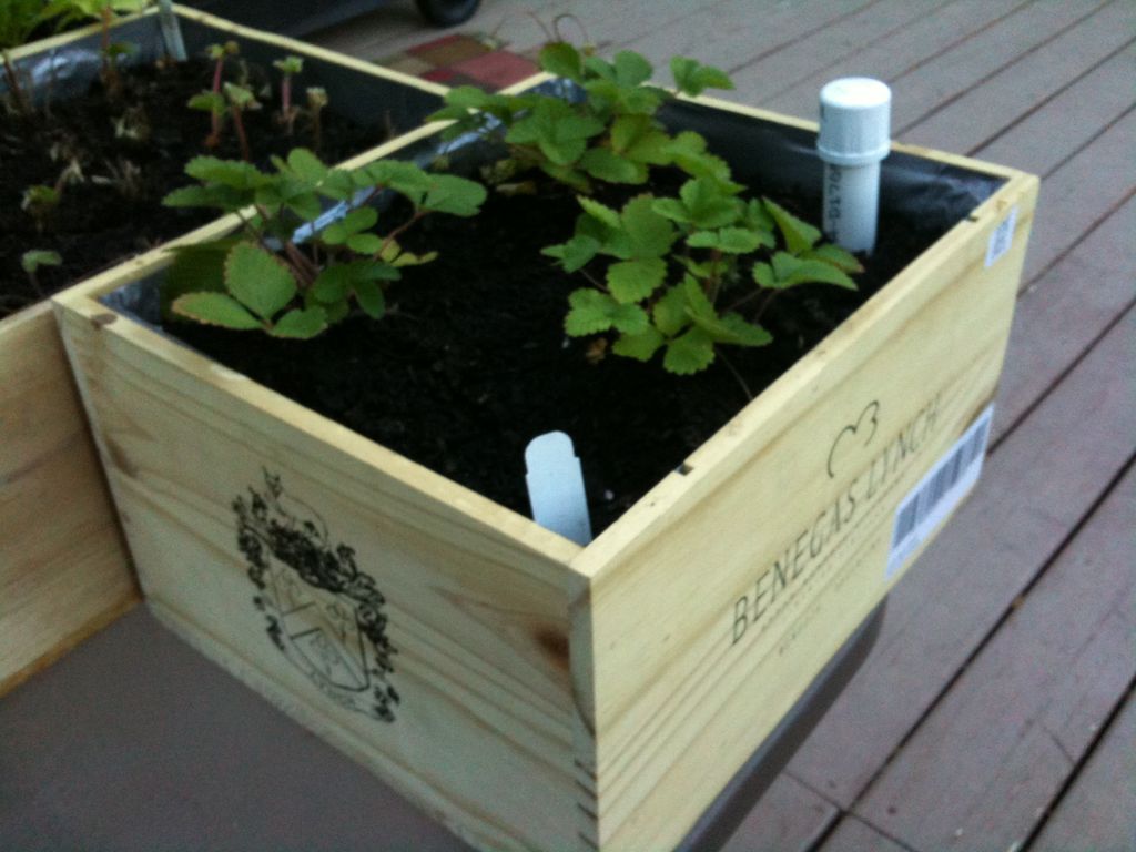 30+ Creative DIY Raised Garden Bed Ideas And Projects --> Wine box wicking planter boxes