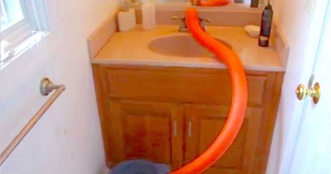 13 Creative Ways To Use A Pool Noodle