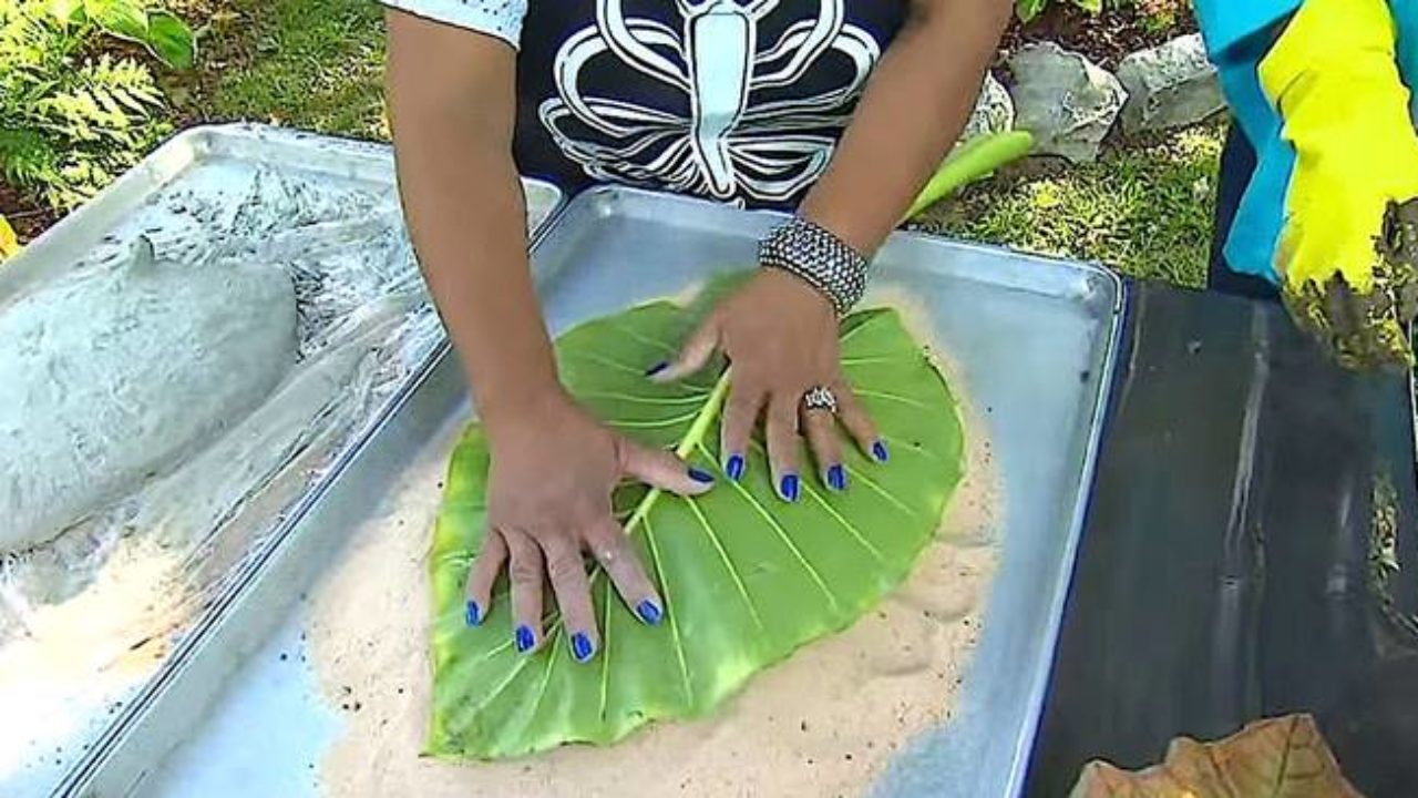 How to Make Concrete Leaf Casting Bowl, Elephant Ear Cement Leaf