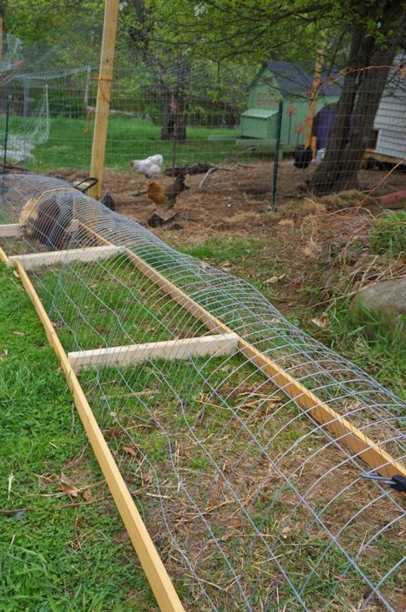 Creative Ideas - DIY Backyard Chicken Tunnel